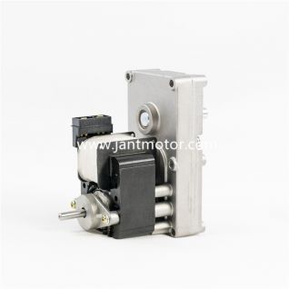 Pellet stove motor