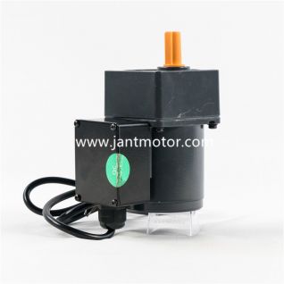 AC gear motor